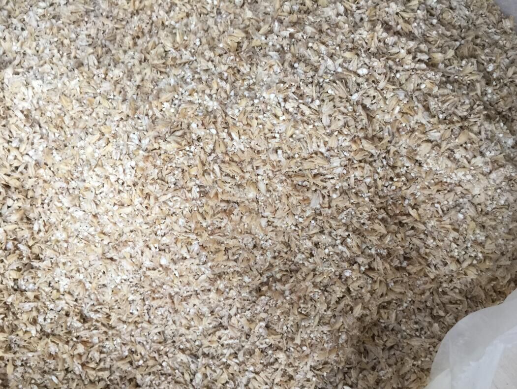 Barley malt